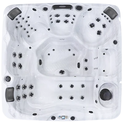 Avalon EC-867L hot tubs for sale in Boynton Beach