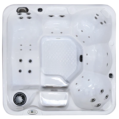 Hawaiian PZ-636L hot tubs for sale in Boynton Beach